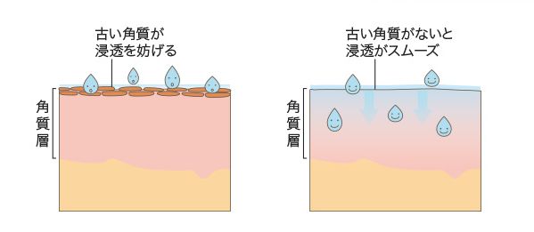 お肌への浸透